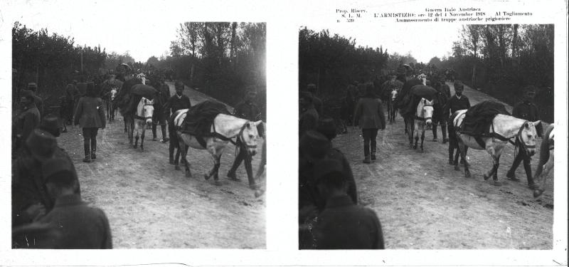 Udine - Tagliamento - soldati - animali - truppe austriache - prigionieri - 1918 (positivo) di Marzocchi, Luigi (primo quarto XX)