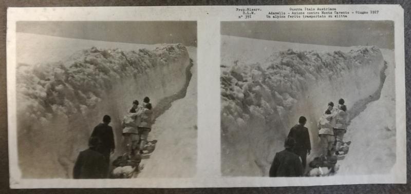 Adamello - Monte Cavento - alpini - feriti - sciatori - 1917 (positivo) di Marzocchi, Luigi (primo quarto XX)