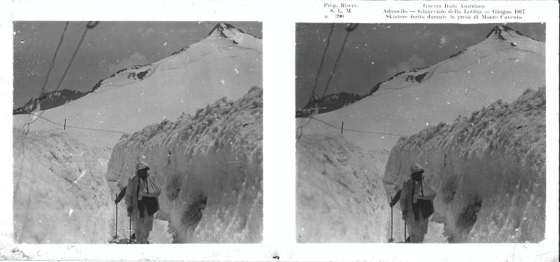 Adamello - Monte Cavento - alpini - feriti - sciatori - 1917 (positivo) di Marzocchi, Luigi (primo quarto XX)