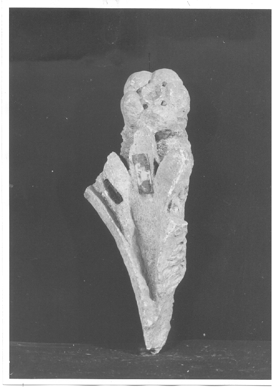 frammento/ capitello (sec. I d.C)