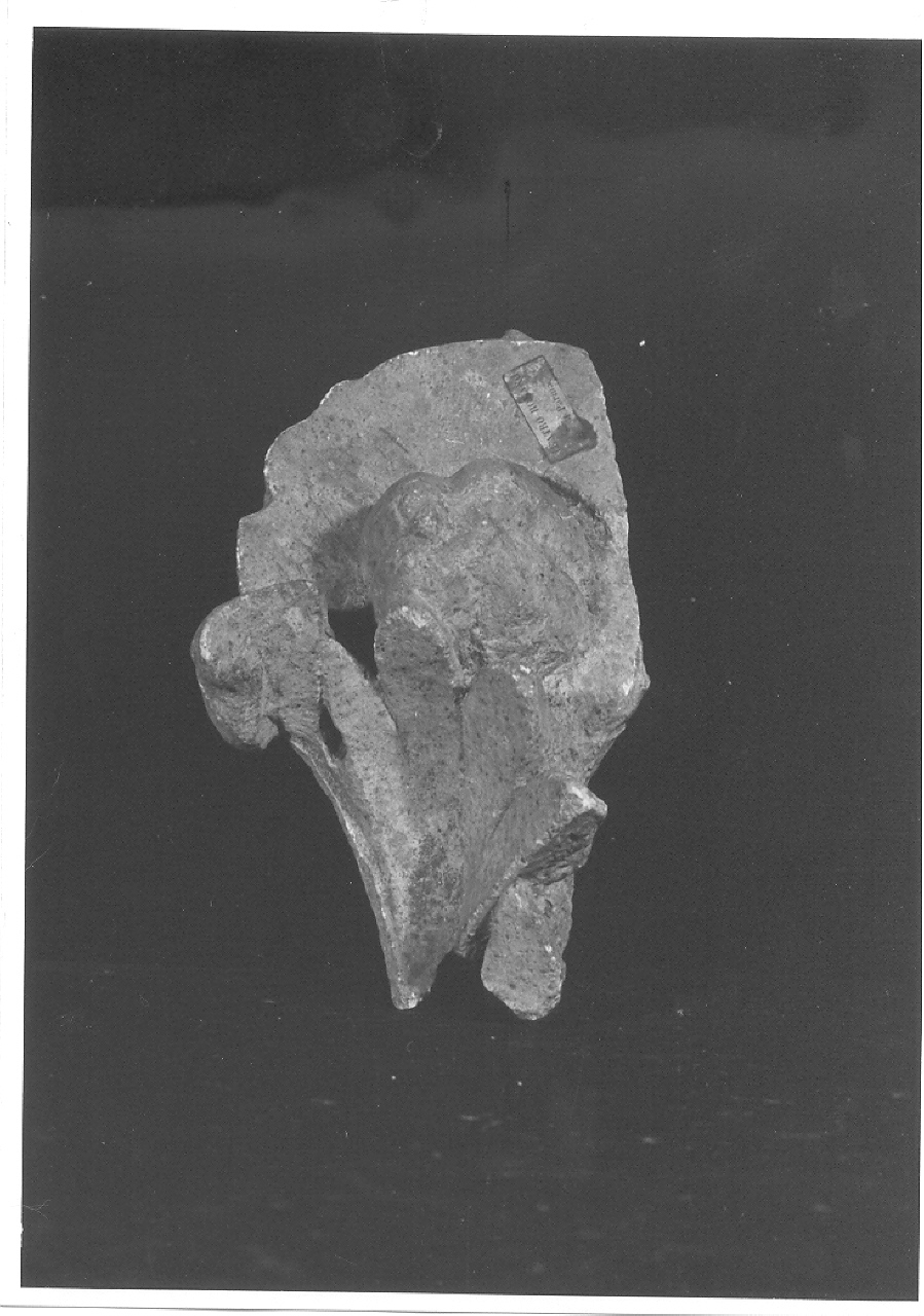 frammento/ capitello (sec. I d.C)