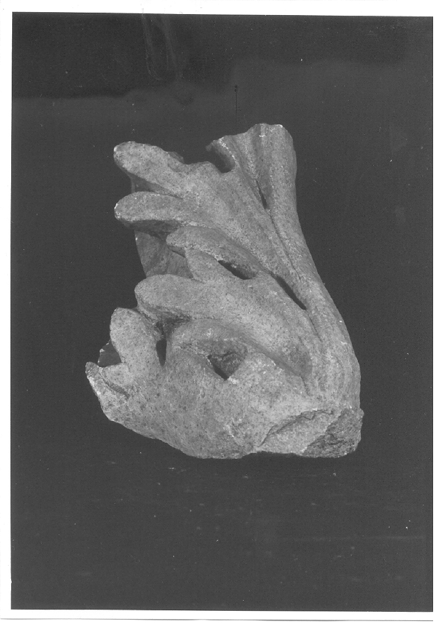 frammento/ capitello (sec. I d.C)