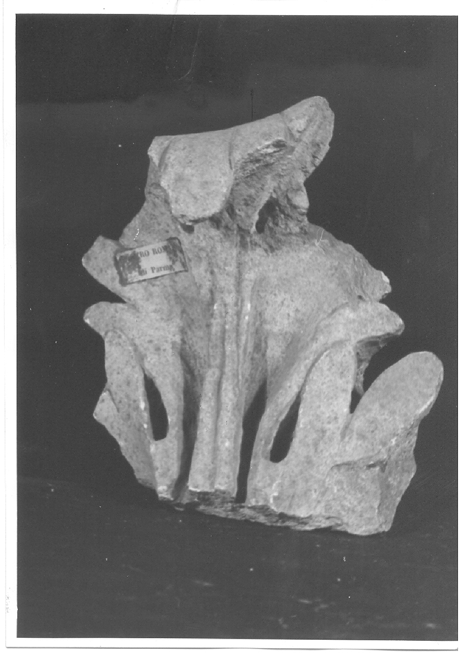 frammento/ capitello (sec. I d.C)