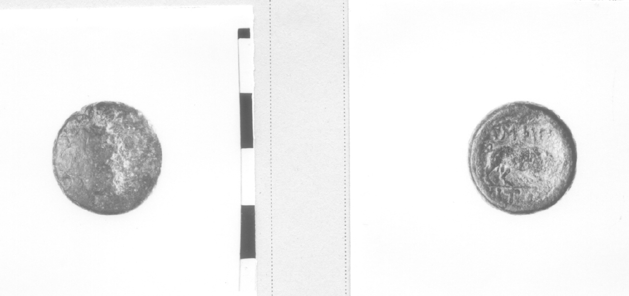 Testa di Artemide / toro (moneta) (II sec. a. C)