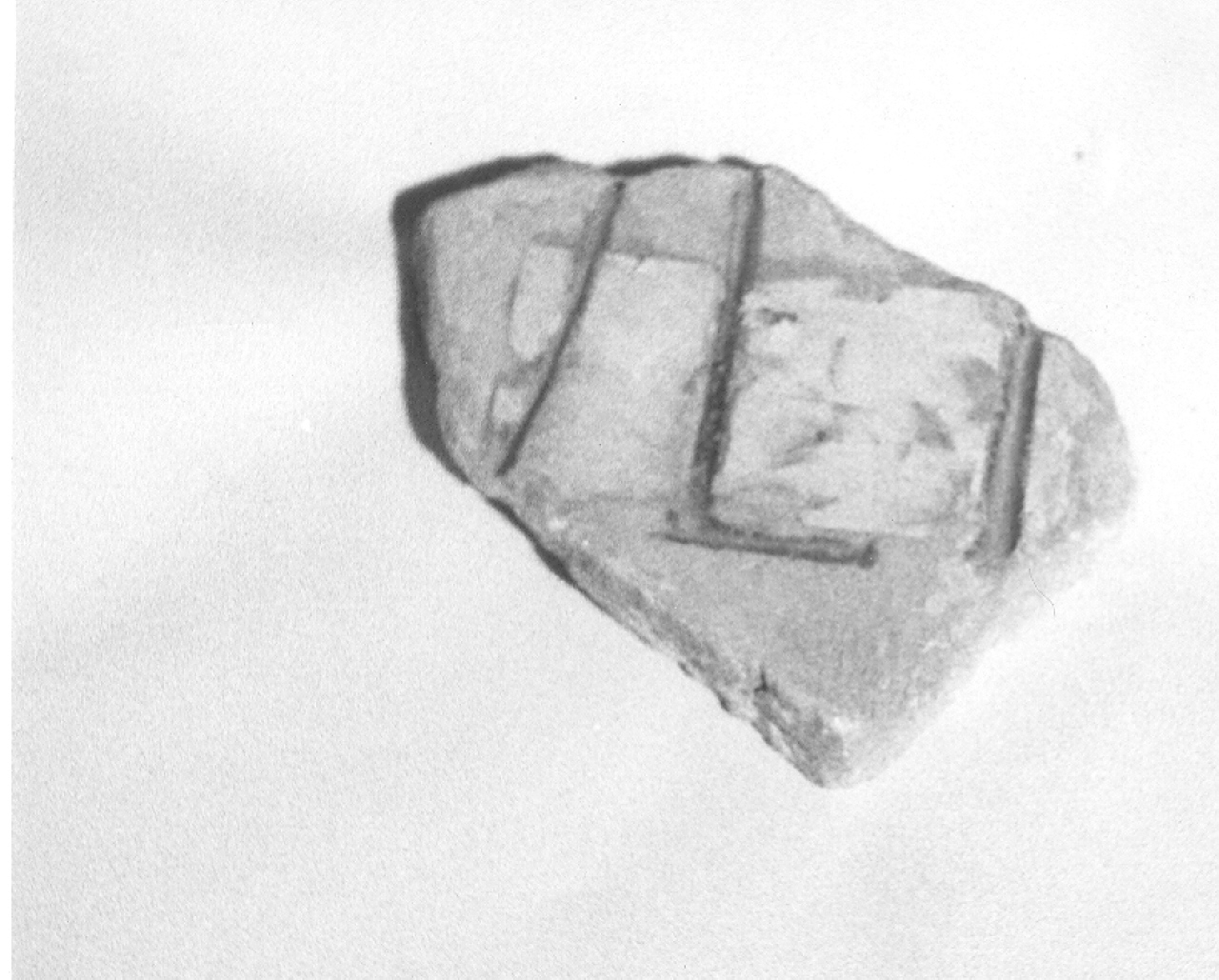 frammento (sconosciuta)