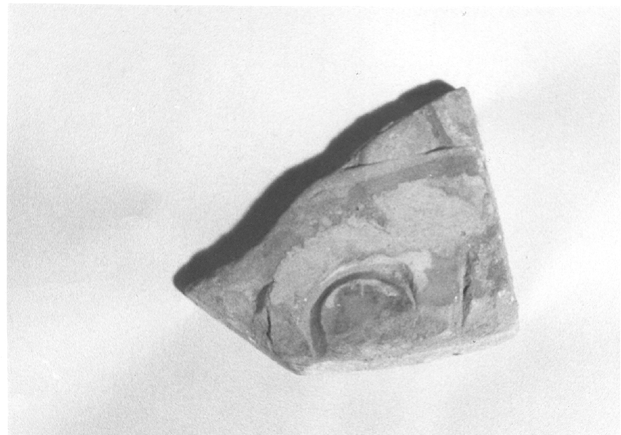 frammento (sconosciuta)