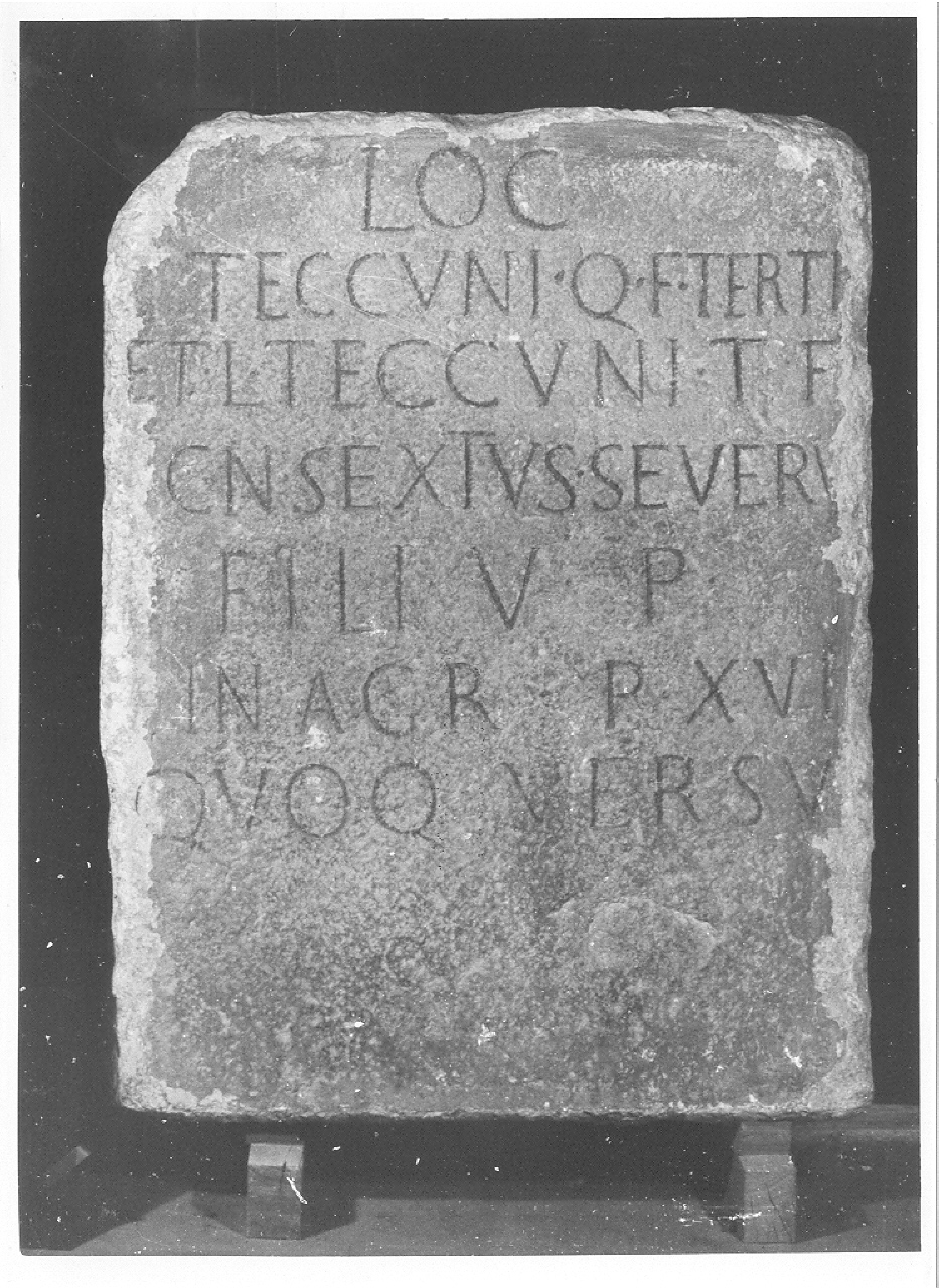 tavola (sconosciuta)