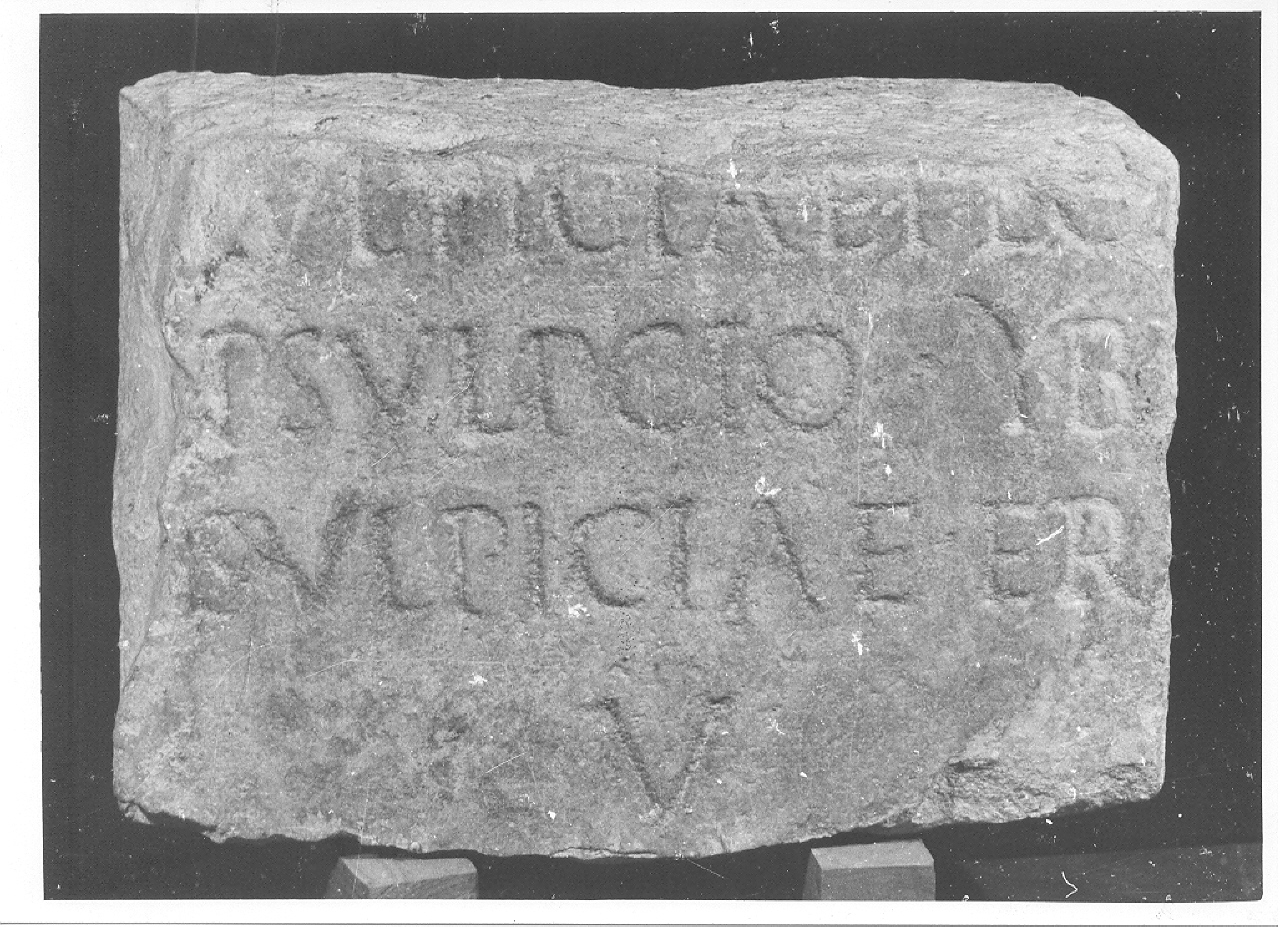 tavola (non determinabile)