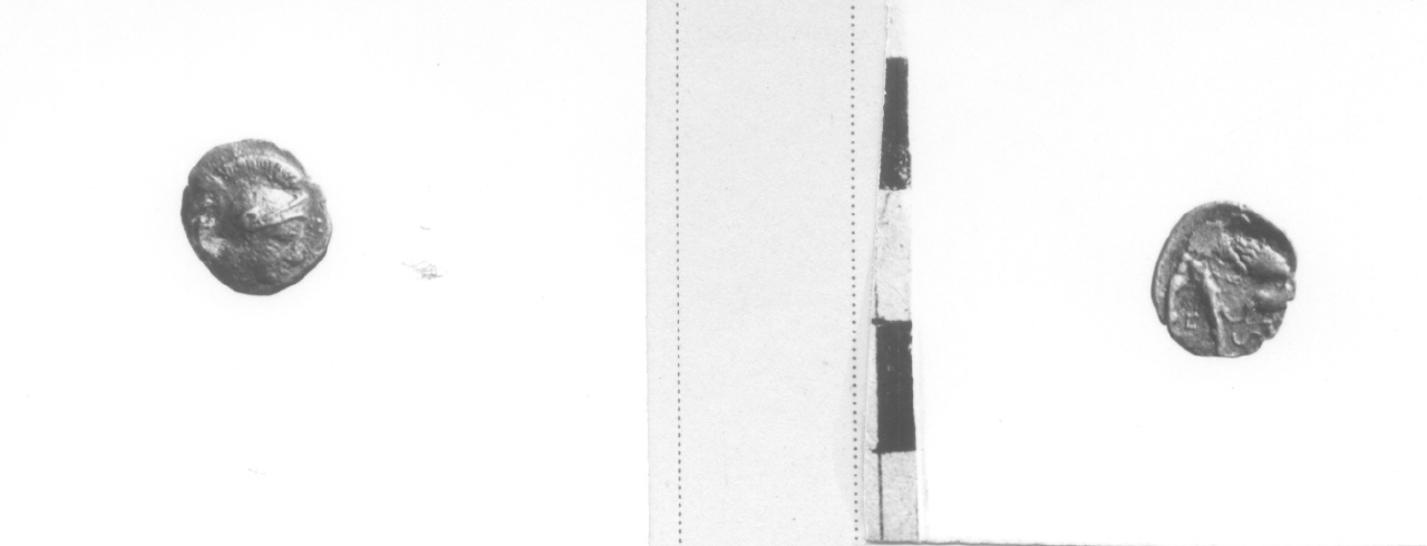 moneta, diobolo (IV-III sec. a.C)