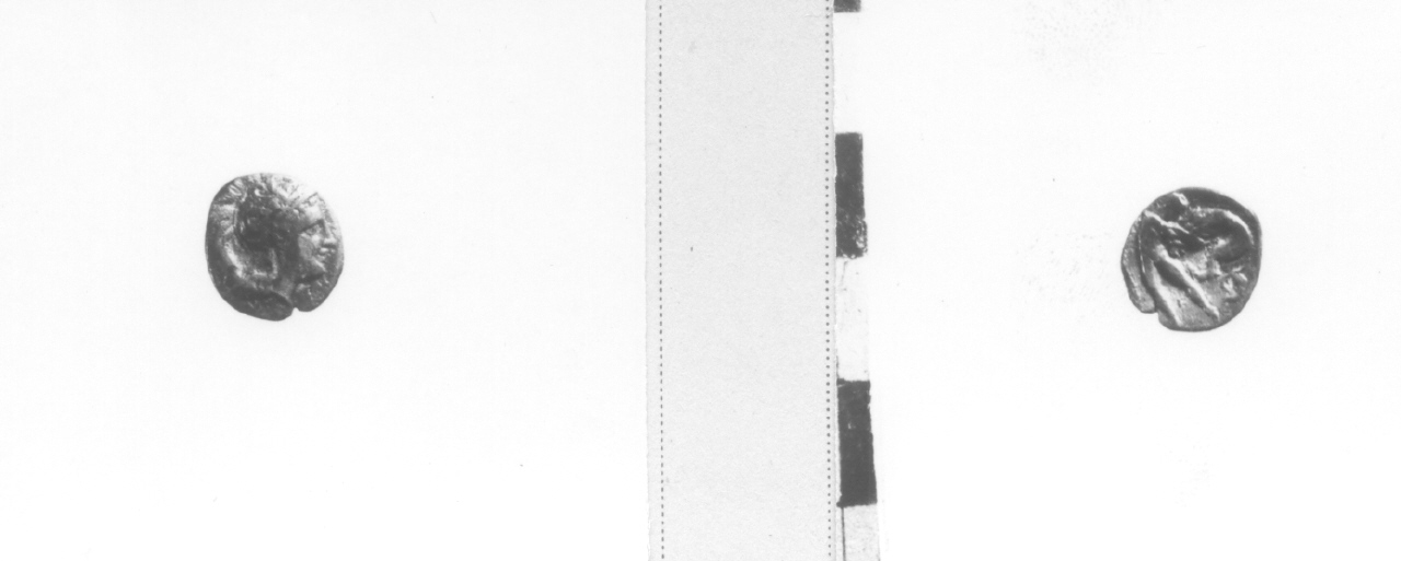 moneta, diobolo (metà/ fine IV-III sec. a.C)