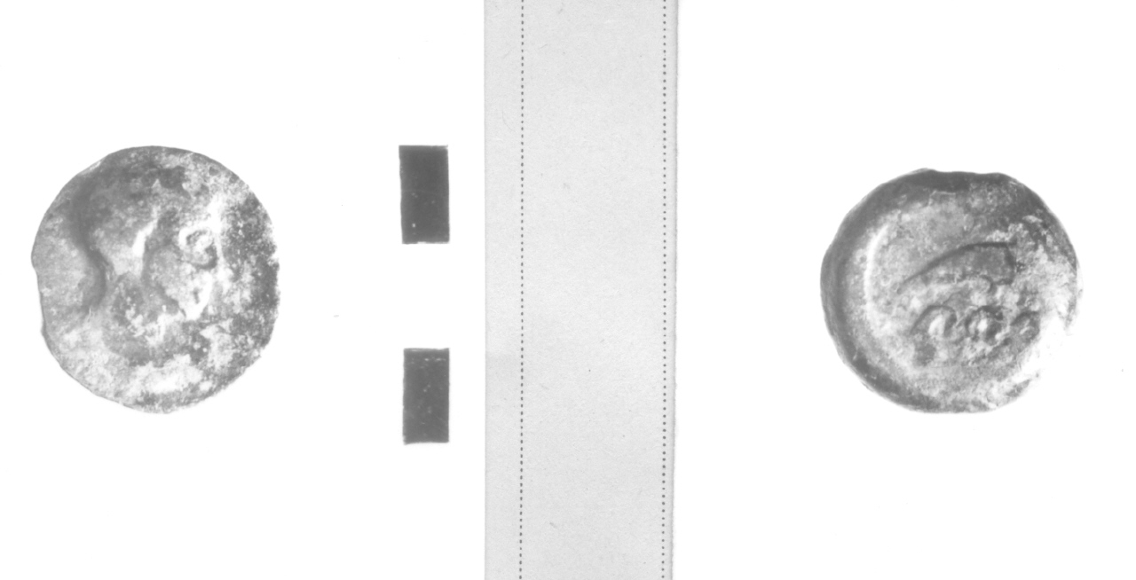 Testa di Apollo (?)/ Delfino (moneta, nominale incerto) (IV sec. a.C)