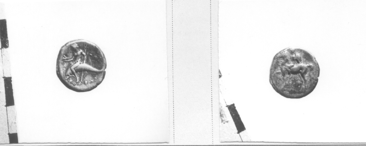 moneta, didramma (prima metà III sec. a.C)