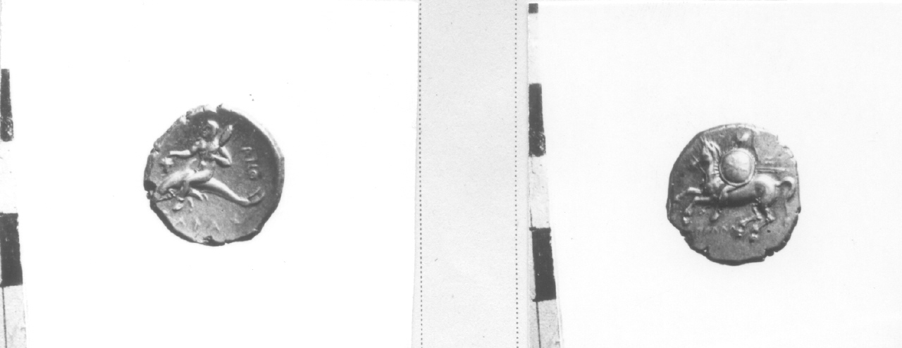 moneta, didramma (prima metà III sec. a.C)