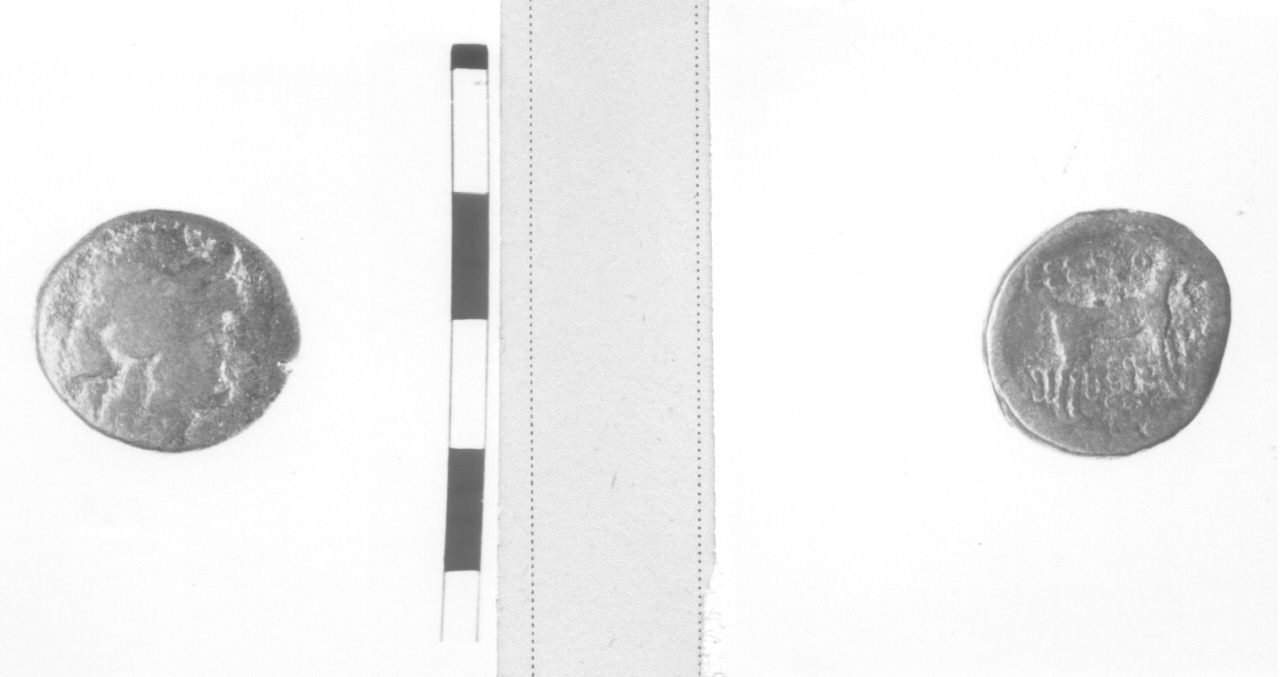 Testa di Dioniso (moneta) (II sec. a. C)
