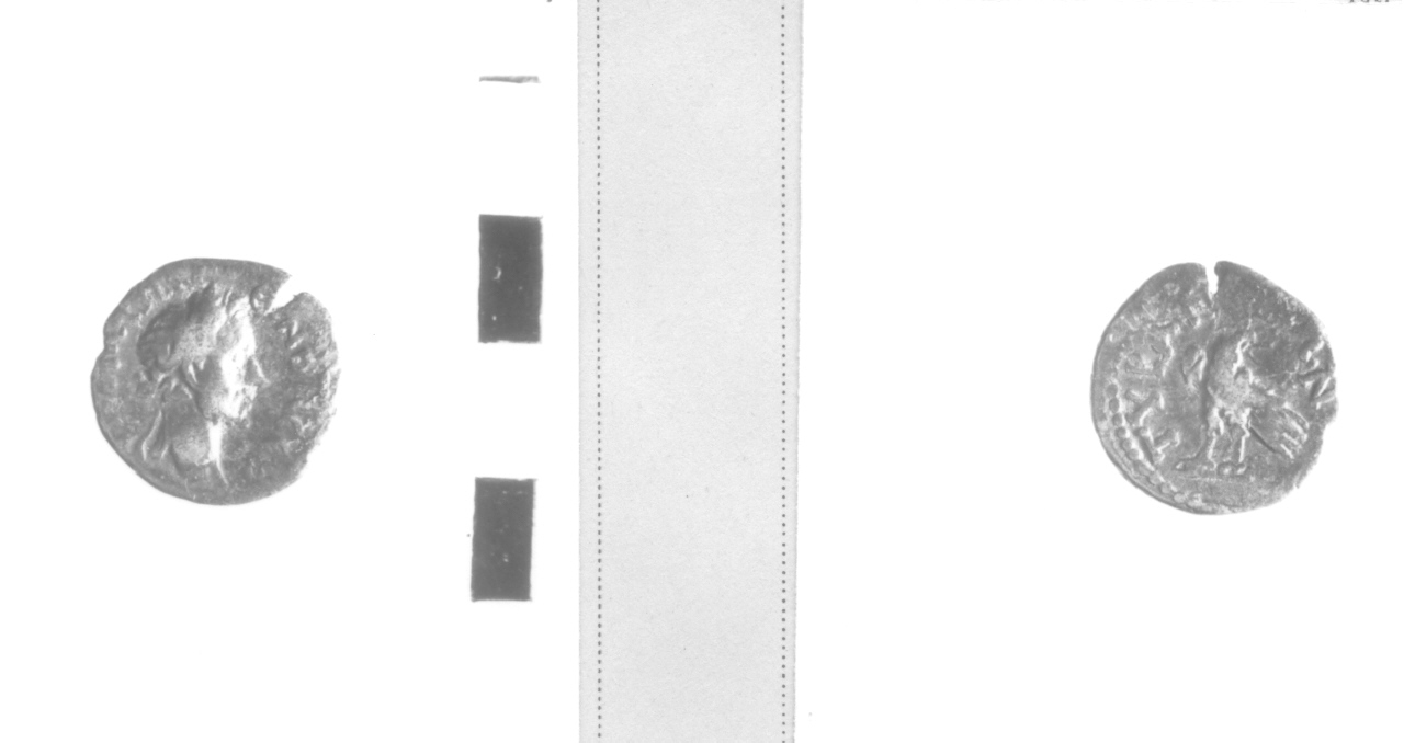 Testa laureata/ Aquila (moneta, nominale incerto) (II sec. a. C)