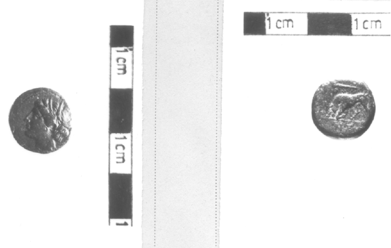 moneta (ultimo quarto IV sec. a.C)