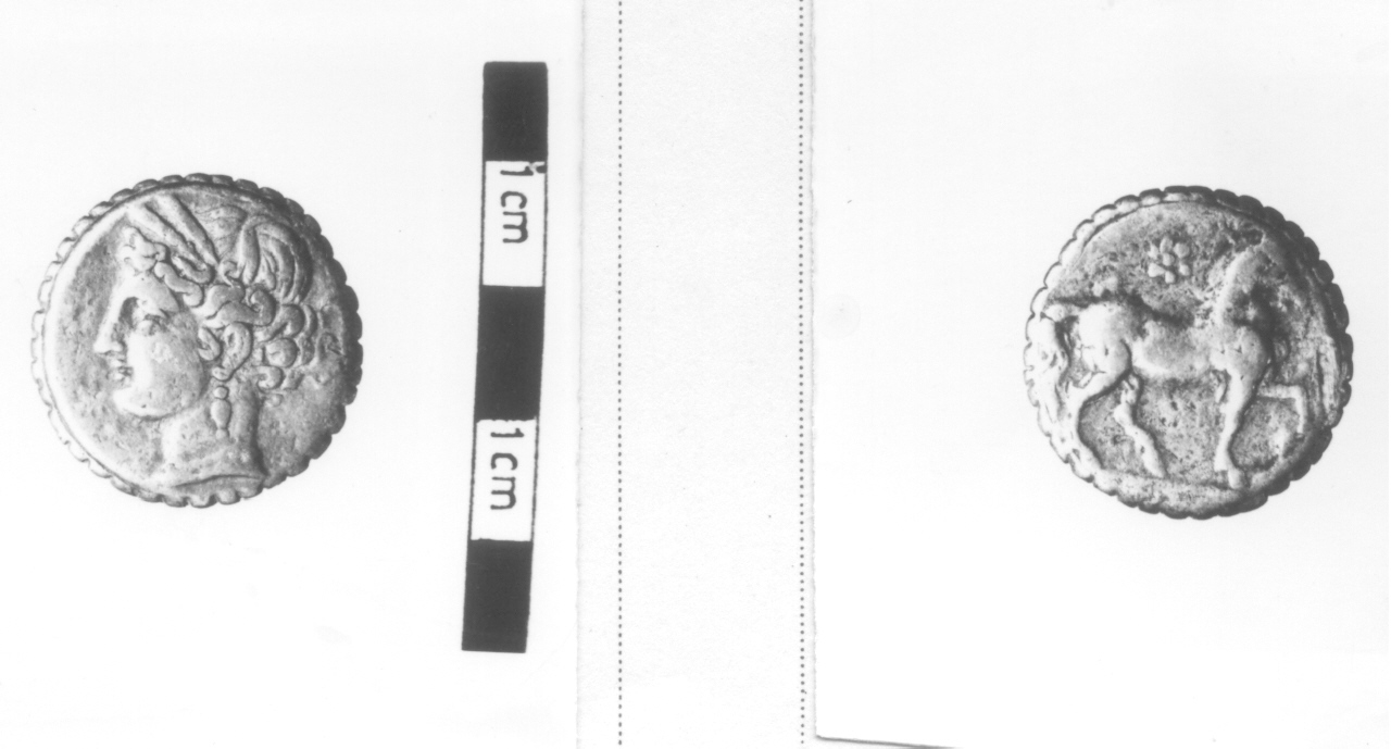 moneta, due scicli (prima metà II sec. a. C)