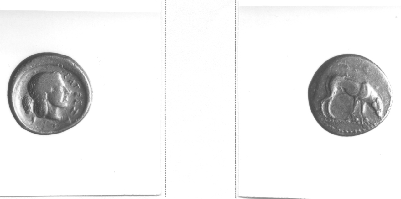 moneta, didramma (V sec. a.C)