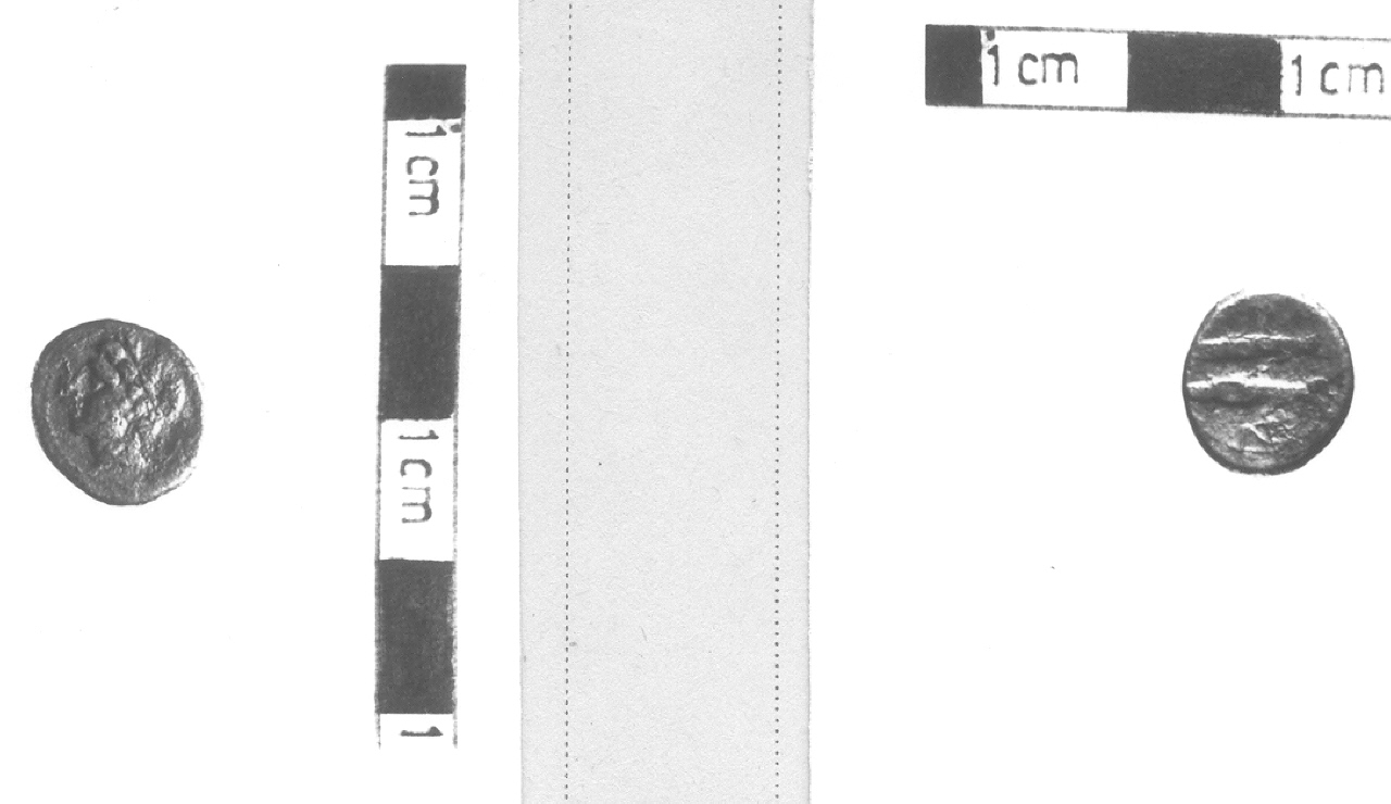 Testa di Apollo / Due pesci (moneta, nominale incerto) (III sec. a.C)