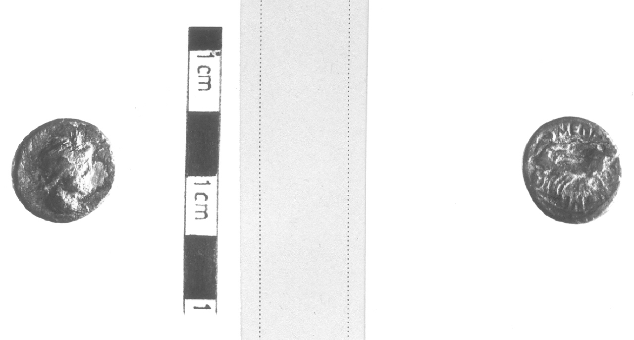 Busto di Serapide / Nike in biga (moneta, pentoncia) (III sec. a.C)