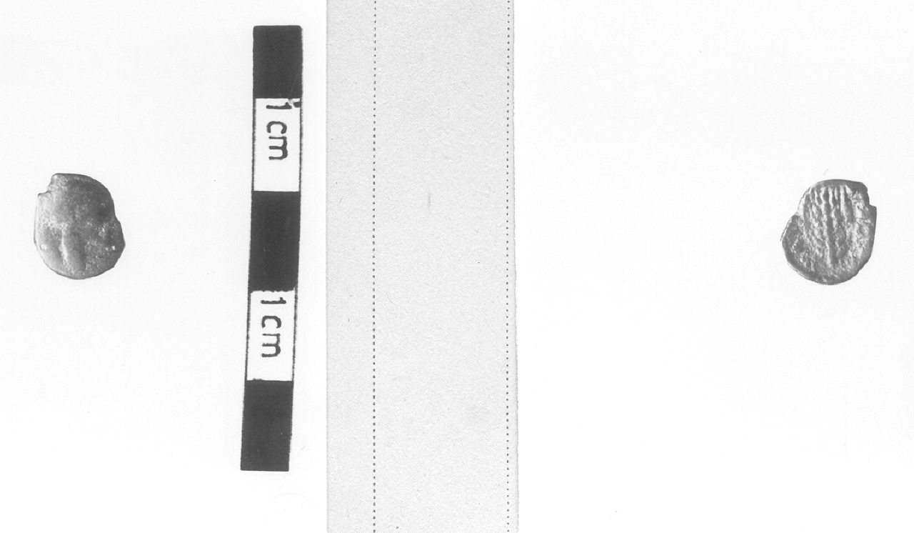 Testa maschile barbata / Spiga (moneta, litra) (V sec. a.C)