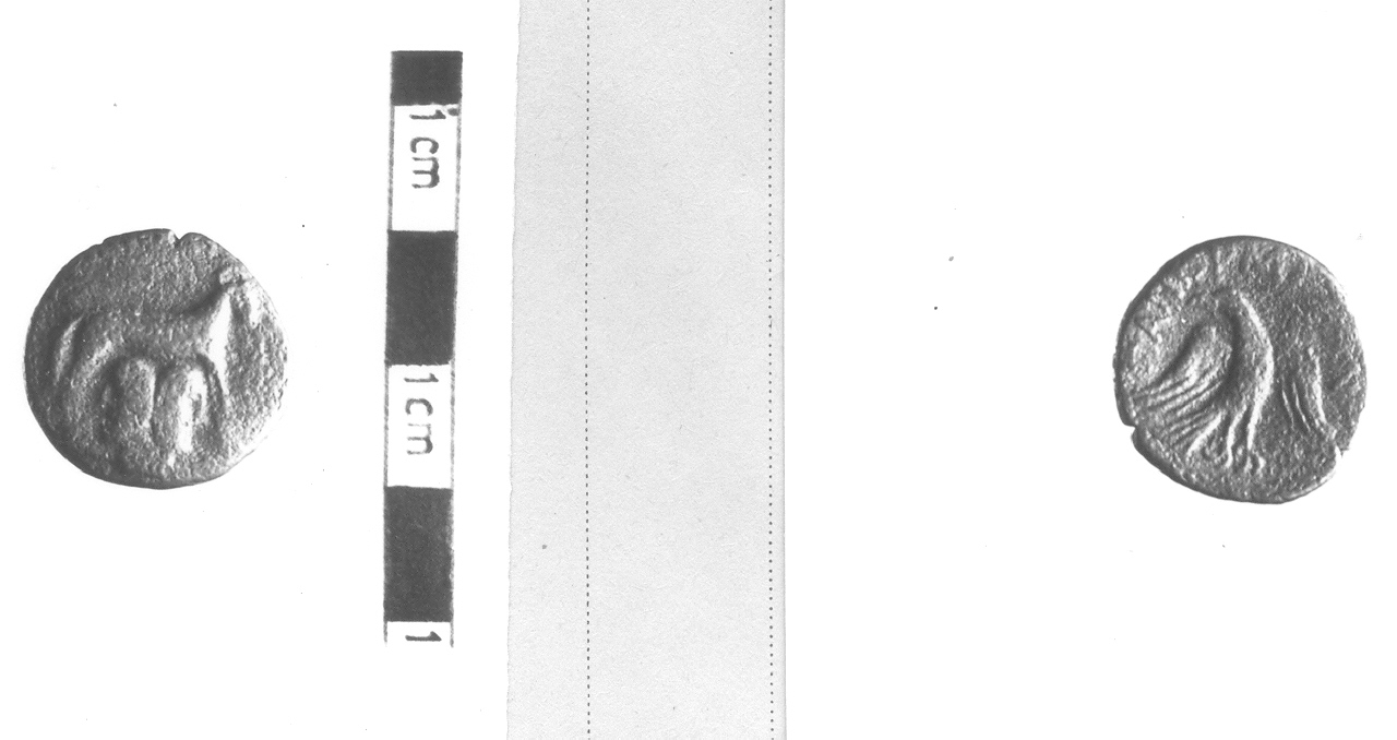 Ariete e testa di Giano bifronte / Aquila (moneta, nominale incerto) (III sec. a.C)