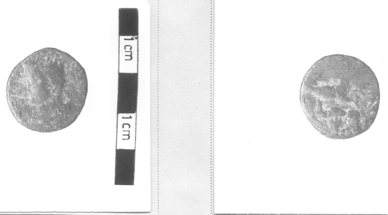 Testa di Augusto / Capricorno e triquetra (moneta, nominale incerto) (I sec. d.C)