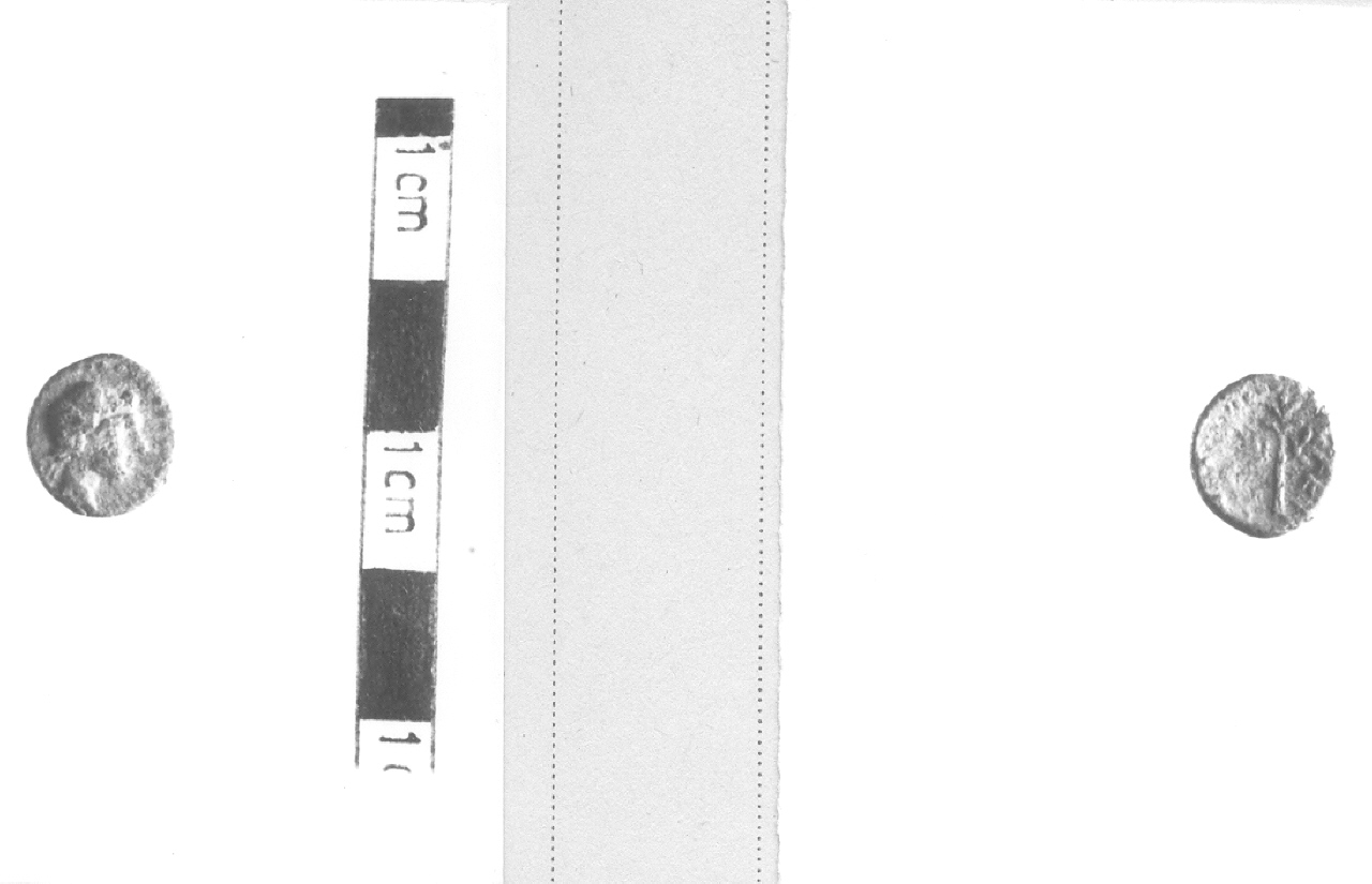 Testa di Apollo / Ramo di alloro (moneta, nominale incerto) (III sec. a.C)