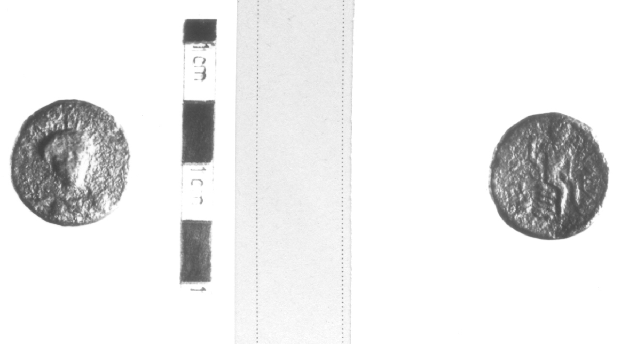 Busto frontale di Demetra / Nudo maschile e granchio (moneta, nominale incerto) (III sec. a.C)