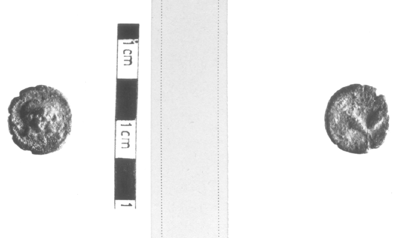 Teste di Apollo ed Artemide / Due spighe (moneta, nominale incerto) (III sec. a.C)