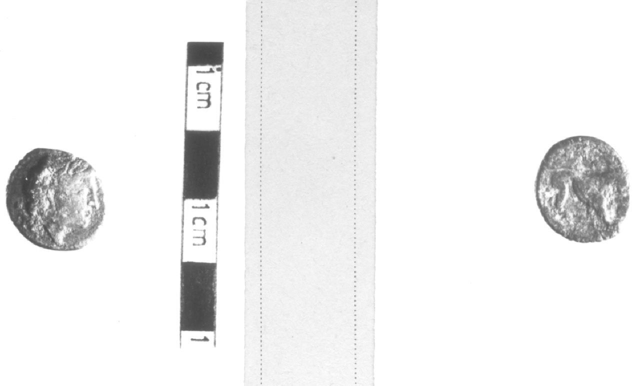 Testa di Apollo / Leone (moneta, nominale incerto) (III sec. a.C)