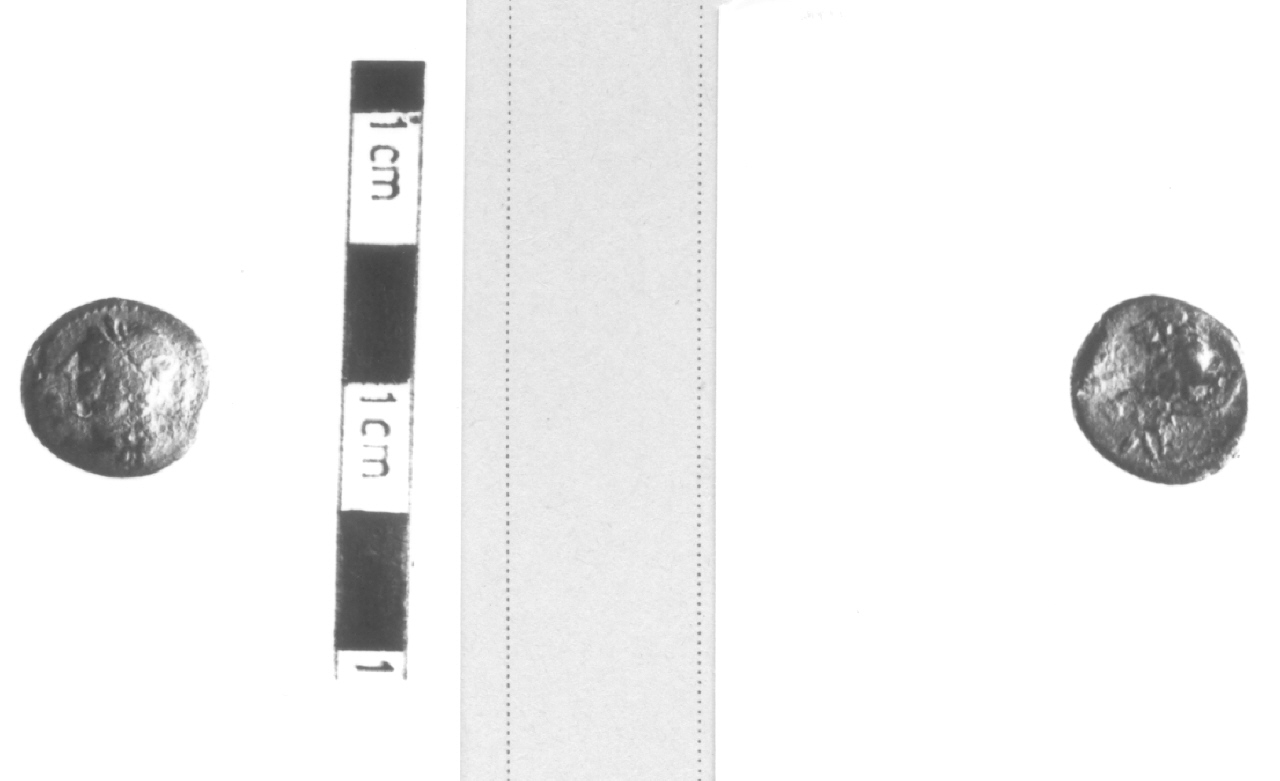 Testa di Apollo / Leone (moneta, nominale incerto) (III sec. a.C)