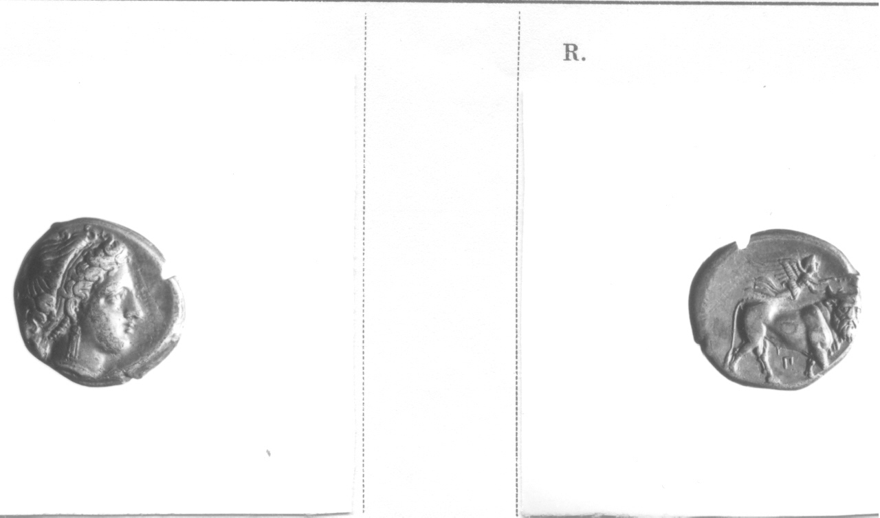 Testa femminile / Toro (moneta, didramma) (IV-III sec. a.C)