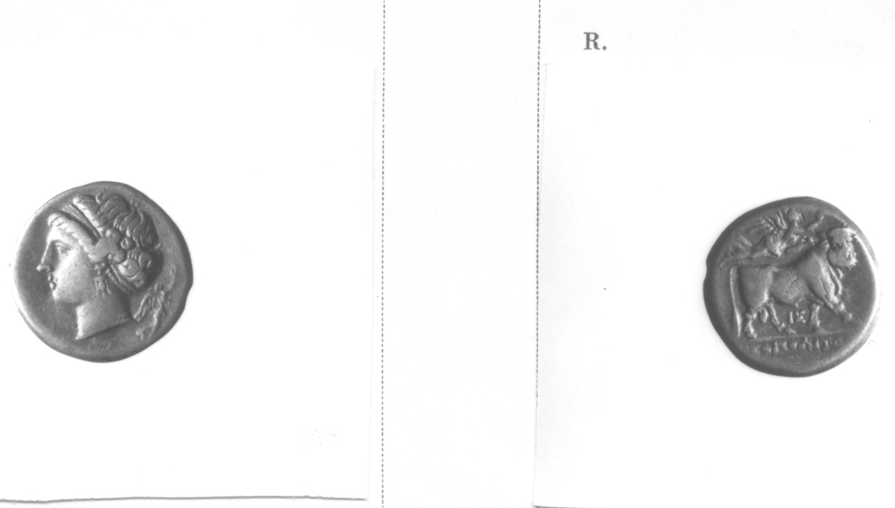 Testa femminile / Toro (moneta, didramma) (III sec. a.C)