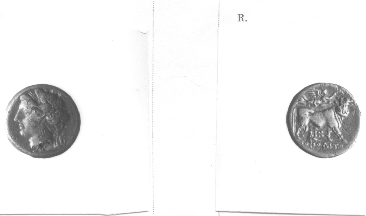 Testa femminile / Toro (moneta, didramma) (III sec. a.C)