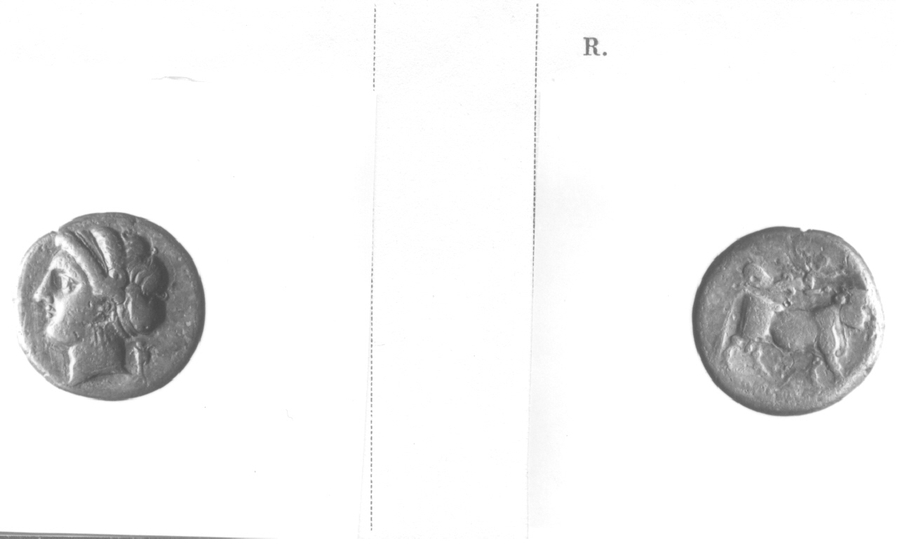 Testa femminile / Toro (moneta, didramma) (III sec. a.C)