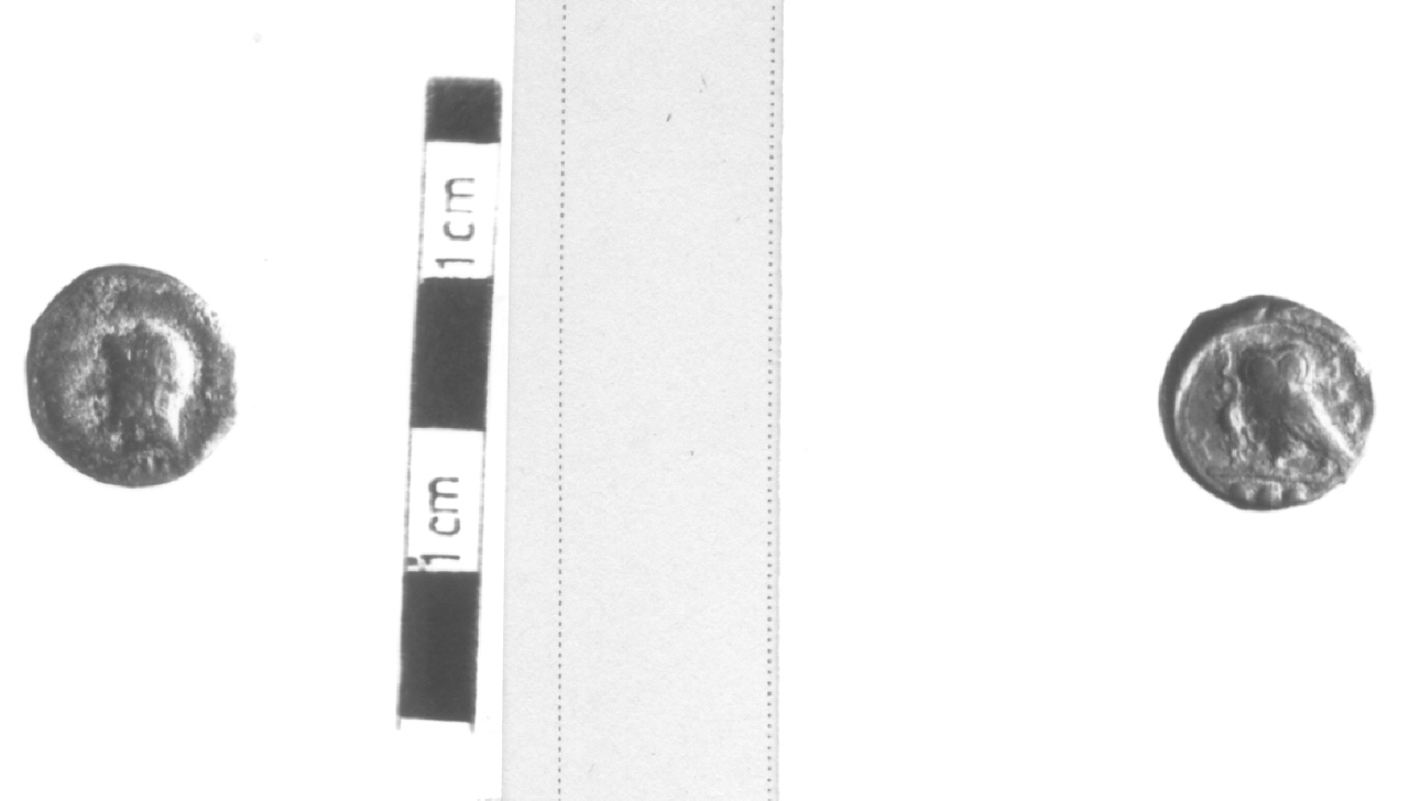 Testa di Atena / Civetta con lucertola (moneta, triente) (V sec. a.C)