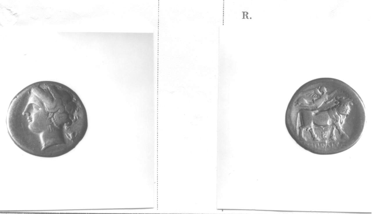 Testa femminile / Toro (moneta, didramma) (III sec. a.C)