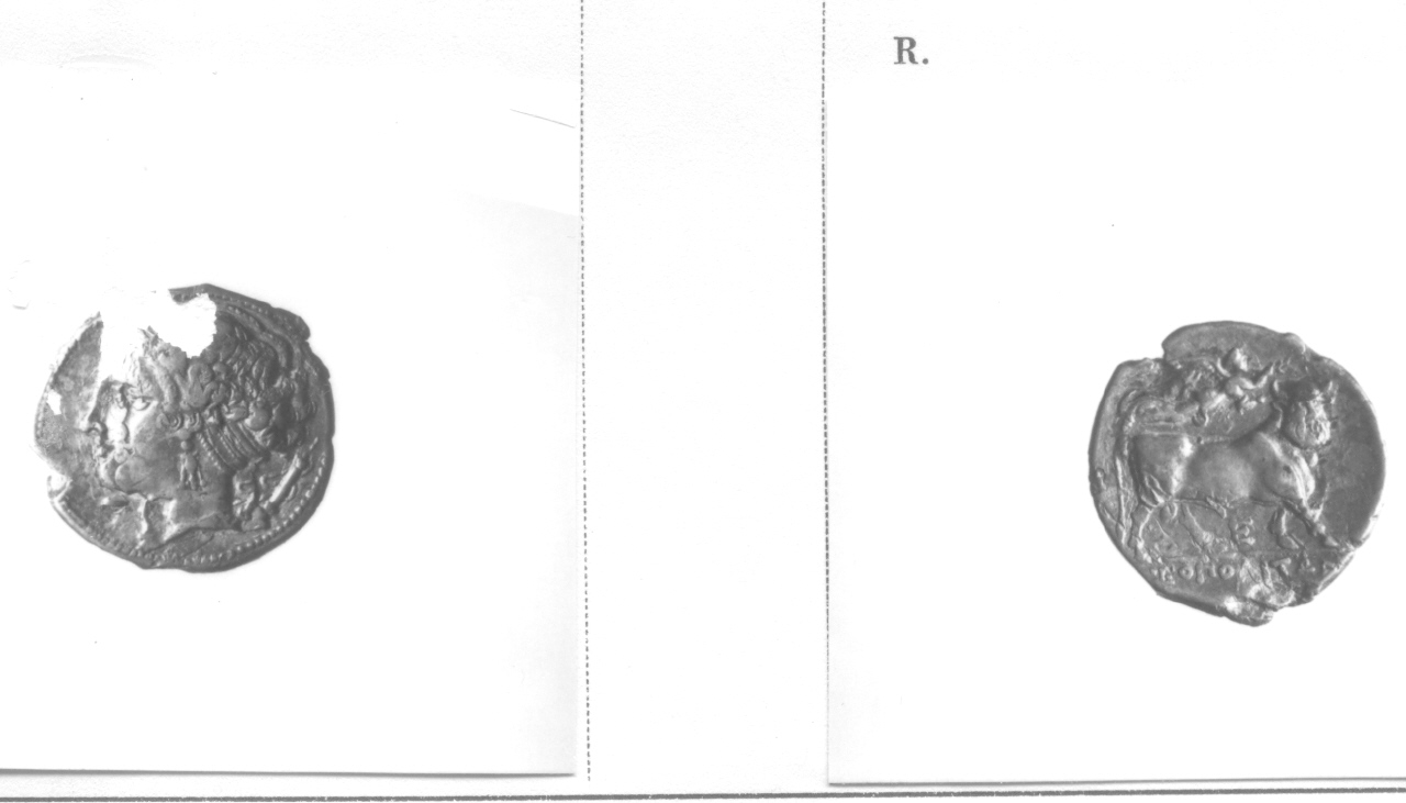 Testa femminile / Toro (moneta, didramma) (III sec. a.C)