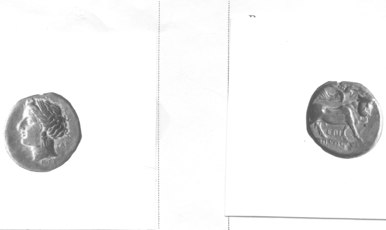 Testa femminile / Toro (moneta, didramma) (III sec. a.C)