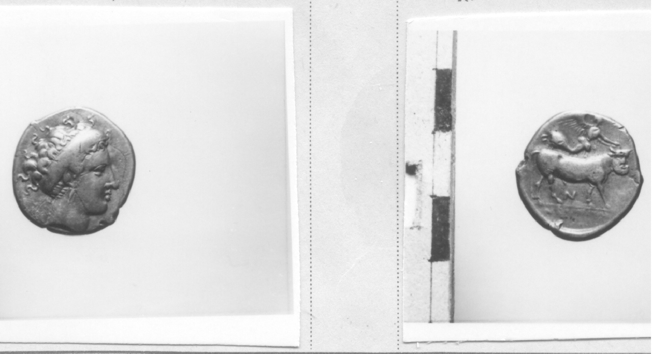 Testa femminile / Toro (moneta, didramma) (IV sec. a. C)