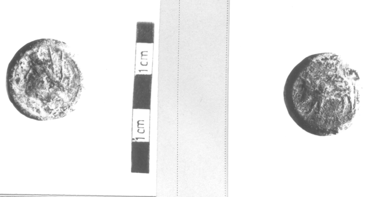 Testa di dio fluviale / Toro androcefalo (moneta, nominale incerto) (IV sec. a.C)