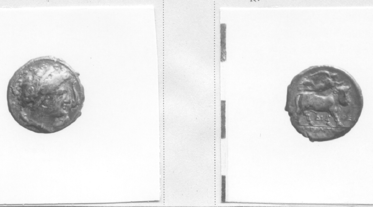 Testa femminile / Toro (moneta, didramma) (IV - III sec. a.C)