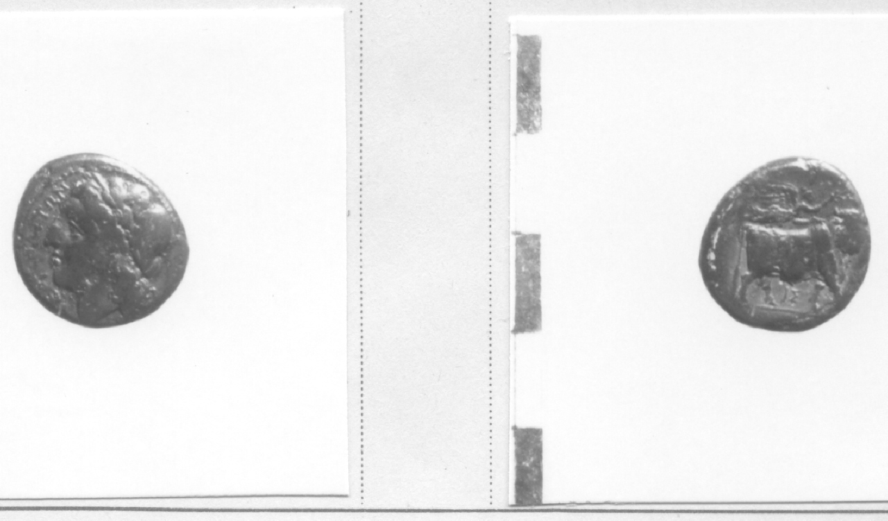 Testa di Apollo / Toro (moneta, litra (?)) (III sec. a.C)