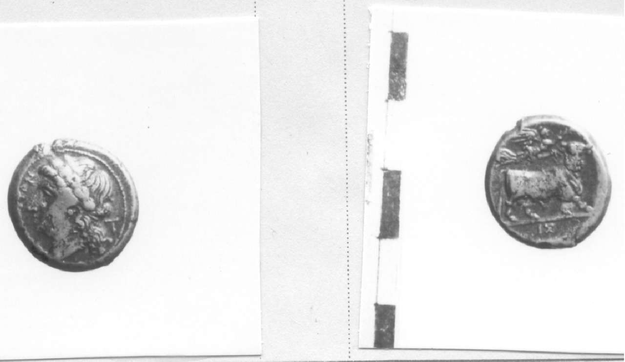 Testa di Apollo / Toro (moneta, litra) (III sec. a.C)