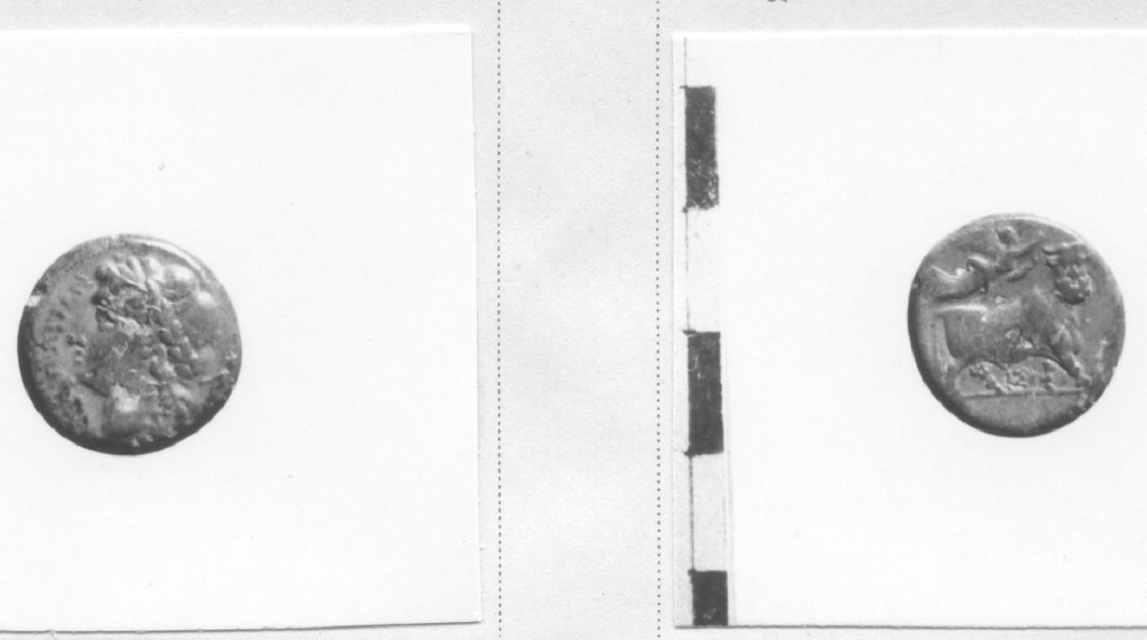 Testa di Apollo / Toro (moneta, litra) (III sec. a.C)