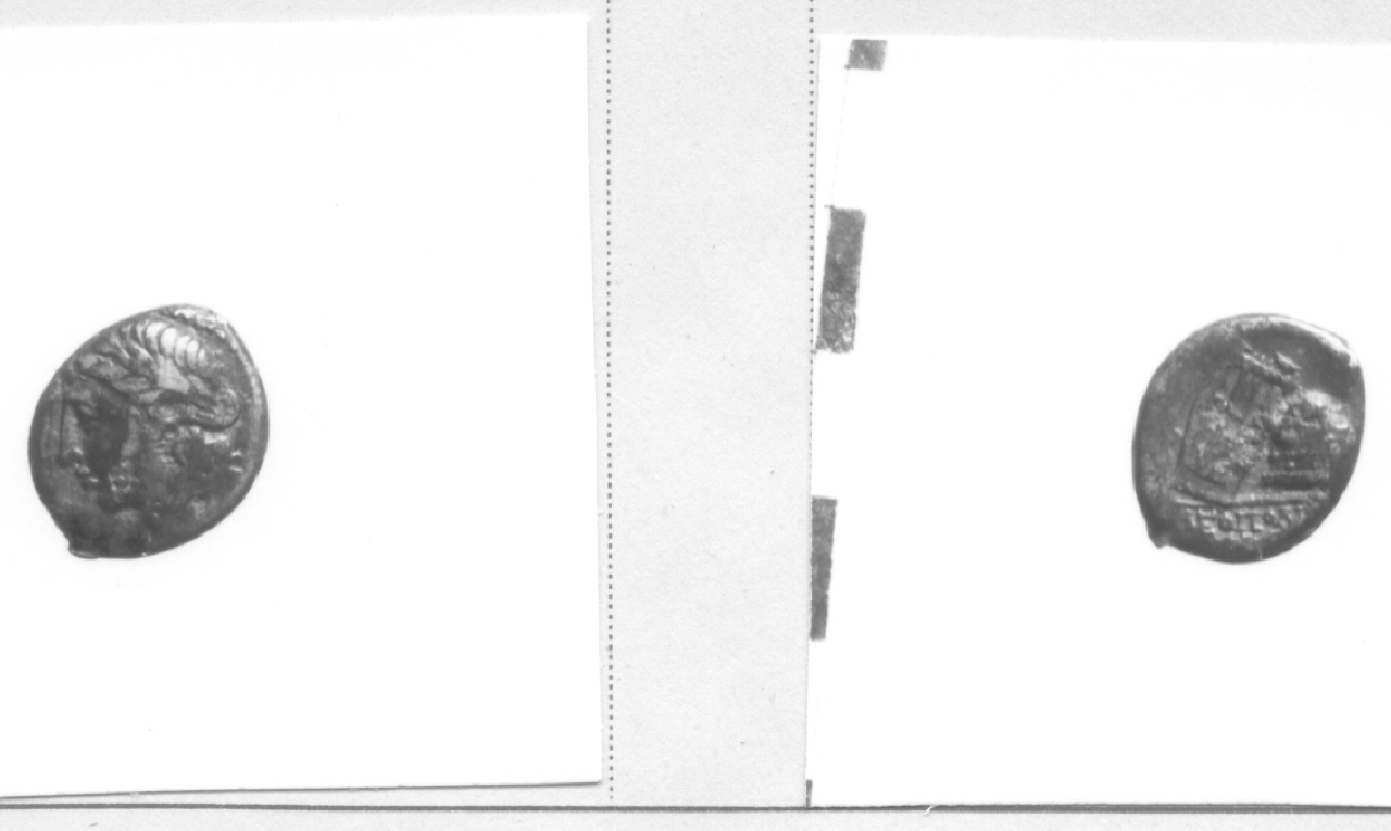 Testa di Apollo / Lira (moneta, litra) (III-II sec. a.C)