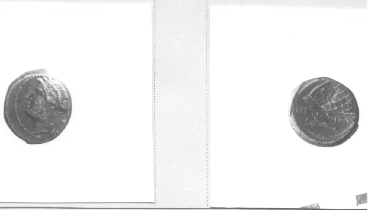 Testa di Apollo / Lira (moneta, litra) (III-II sec. a.C)