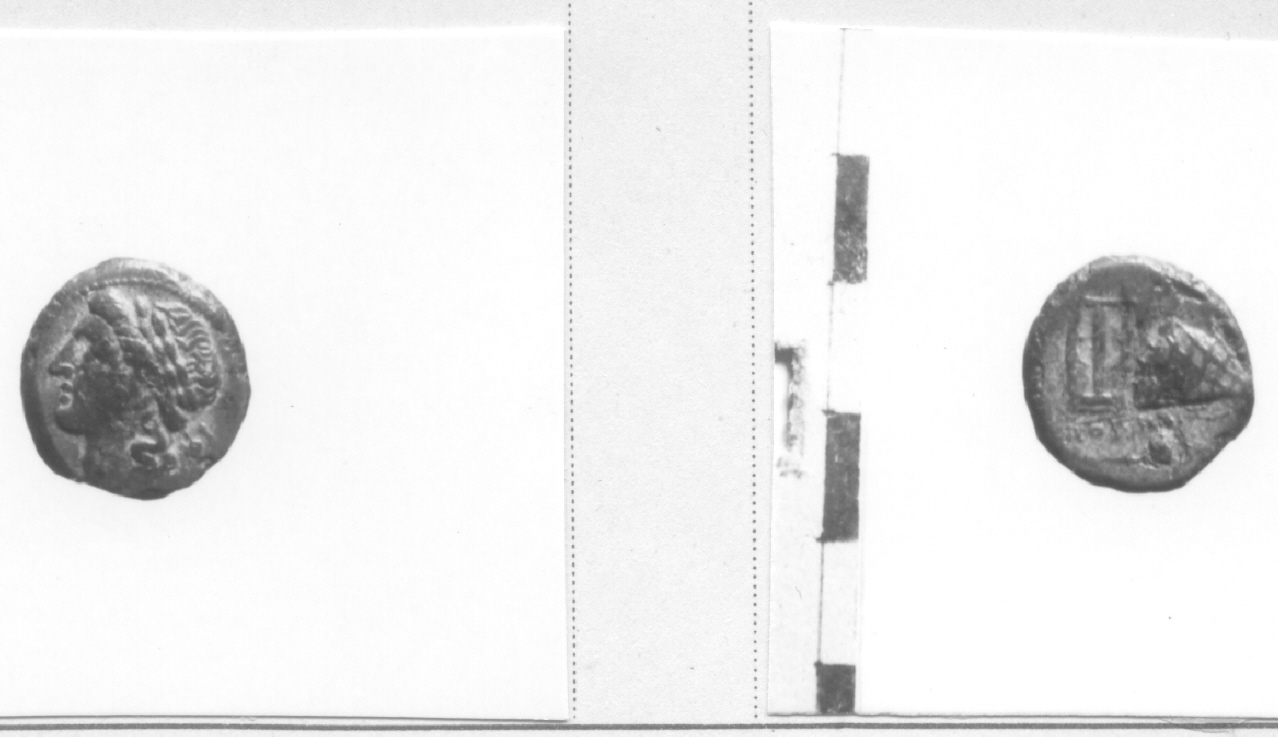 Testa di Apollo / Lira (moneta, litra) (III-II sec. a.C)