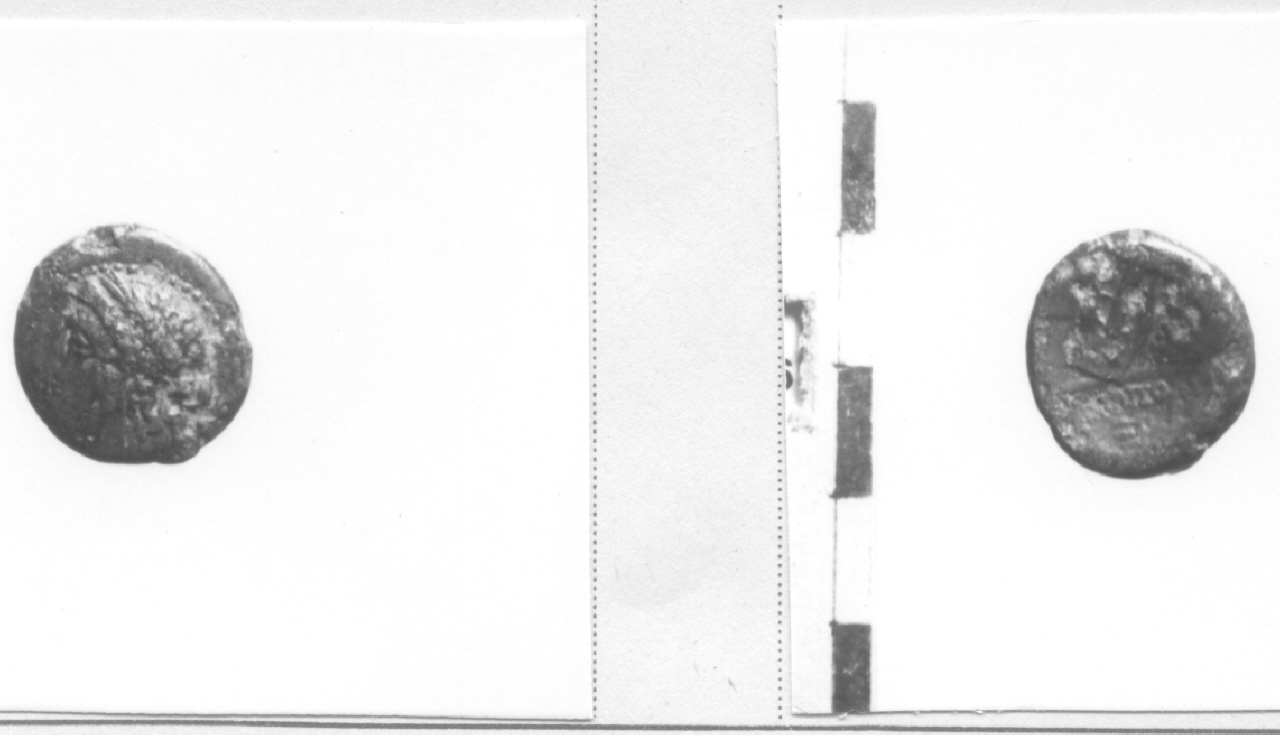 Testa di Apollo / Lira (moneta, litra) (III-II sec. a.C)